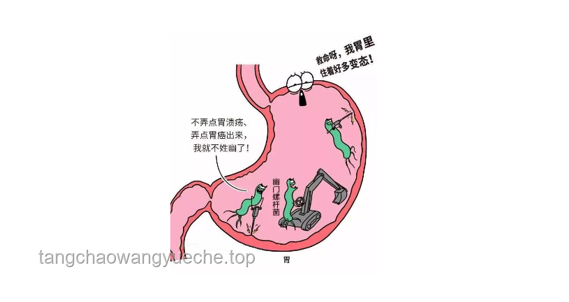 幽门螺杆菌：一人感染，全家需警惕的细菌